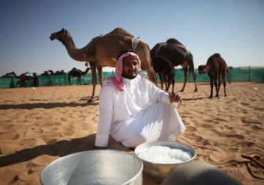 Лечение верблюжьим молоком