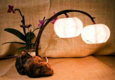 Бумажные фонари несут природу в дом