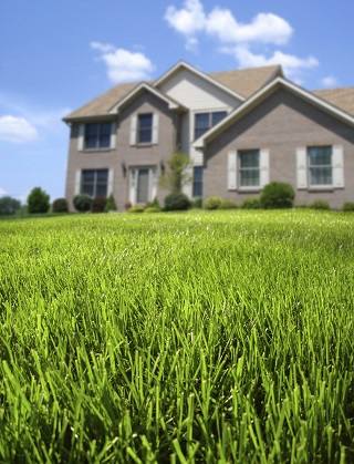 Нужен ли газон перед домом?